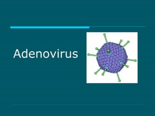 Adenovirus 
 