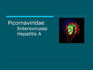 Picornaviridae 
Enteroviruses 
Hepatitis A 
 