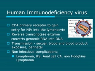 Human Immunodeficiency virus 
 CD4 primary receptor to gain 
entry for HIV into the lymphocyte 
 Reverse transcriptase e...