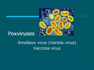 Poxviruses 
Smallpox virus (Variola virus) 
Vaccinia virus 
 