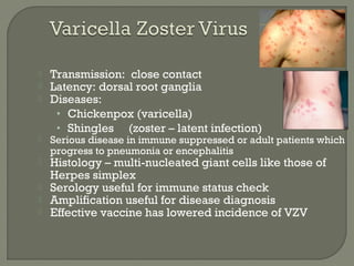  Transmission: close contact
 Latency: dorsal root ganglia
 Diseases:
• Chickenpox (varicella)
• Shingles (zoster – latent infection)
 Serious disease in immune suppressed or adult patients which
progress to pneumonia or encephalitis
 Histology – multi-nucleated giant cells like those of
Herpes simplex
 Serology useful for immune status check
 Amplification useful for disease diagnosis
 Effective vaccine has lowered incidence of VZV
 