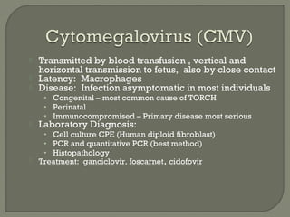  Transmitted by blood transfusion , vertical and
horizontal transmission to fetus, also by close contact
 Latency: Macrophages
 Disease: Infection asymptomatic in most individuals
• Congenital – most common cause of TORCH
• Perinatal
• Immunocompromised – Primary disease most serious
 Laboratory Diagnosis:
• Cell culture CPE (Human diploid fibroblast)
• PCR and quantitative PCR (best method)
• Histopathology
 Treatment: ganciclovir, foscarnet, cidofovir
 