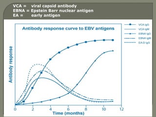 VCA = viral capsid antibody
EBNA = Epstein Barr nuclear antigen
EA = early antigen
 