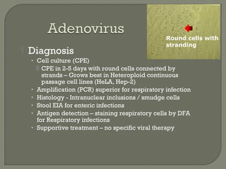  Diagnosis
• Cell culture (CPE)
 CPE in 2-5 days with round cells connected by
strands – Grows best in Heteroploid continuous
passage cell lines (HeLA, Hep-2)
• Amplification (PCR) superior for respiratory infection
• Histology - Intranuclear inclusions / smudge cells
• Stool EIA for enteric infections
• Antigen detection – staining respiratory cells by DFA
for Respiratory infections
• Supportive treatment – no specific viral therapy
Round cells with
stranding
 