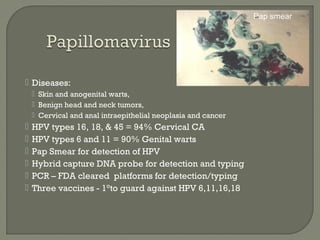  Diseases:
 Skin and anogenital warts,
 Benign head and neck tumors,
 Cervical and anal intraepithelial neoplasia and cancer
 HPV types 16, 18, & 45 = 94% Cervical CA
 HPV types 6 and 11 = 90% Genital warts
 Pap Smear for detection of HPV
 Hybrid capture DNA probe for detection and typing
 PCR – FDA cleared platforms for detection/typing
 Three vaccines - 1°to guard against HPV 6,11,16,18
Pap smear
 