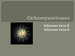 Influenza virus A
Influenza virus B
 