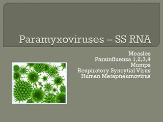 Measles
Parainfluenza 1,2,3,4
Mumps
Respiratory Syncytial Virus
Human Metapneumovirus
 
