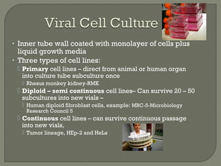 • Inner tube wall coated with monolayer of cells plus
liquid growth media
• Three types of cell lines:
 Primary cell lines – direct from animal or human organ
into culture tube subculture once
 Rhesus monkey kidney-RMK
 Diploid – semi continuous cell lines– Can survive 20 – 50
subcultures into new vials –
 Human diploid fibroblast cells, example: MRC-5-Microbiology
Research Council 5
 Continuous cell lines – can survive continuous passage
into new vials,
 Tumor lineage, HEp-2 and HeLa
 