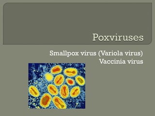 Smallpox virus (Variola virus)
Vaccinia virus
 
