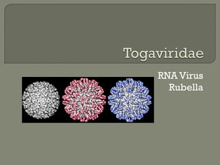  Variola virus – agent of Smallpox
 Vaccinia virus - active constituent in the Smallpox
vaccine, it is immunologically r...