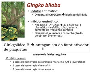 Gingko biloba
• Indutor enzimático:
• Omeprazol (CYP2C19):  biodisponibilidade
• Inibidor enzimático:
• Nifedipino (CYP3A4):  30 a 50% da [ ]
plasmática = cefaléia, rubor, edema,
aumento da frequência cardíaca
• Omeprazol: Aumenta a concentração do
omeprazol (hemorragia)
aumento da fluidez sanguínea
15 relatos de caso:
• 8 casos de hemorragia intracraniana (warfarina, AAS e ibuprofeno)
• 4 casos de hemorragia vítrea (AAS)
• 3 casos de hemorragia pós-operatória
Ginkgolídeo B  antagonista do fator ativador
de plaquetas 
 