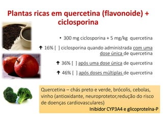 Plantas ricas em quercetina (flavonoide) +
ciclosporina
• 300 mg ciclosporina + 5 mg/kg quercetina
 16% [ ] ciclosporina quando administrada com uma
dose única de quercetina
 36% [ ] após uma dose única de quercetina
 46% [ ] após doses múltiplas de quercetina
Quercetina – chás preto e verde, brócolis, cebolas,
vinho (antioxidante, neuroprotetor,redução do risco
de doenças cardiovasculares)
Inibidor CYP3A4 e glicoproteína-P
 