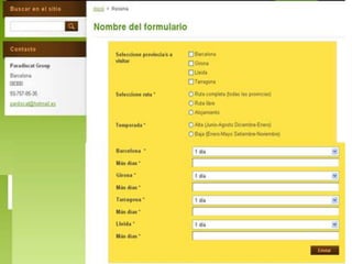 Web ParadisCat Group