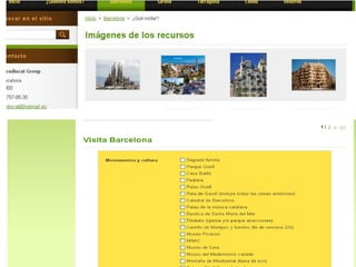 Web ParadisCat Group