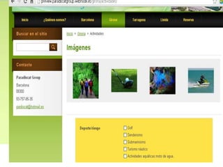 Web ParadisCat Group