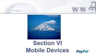 Section VI
Mobile Devices

 