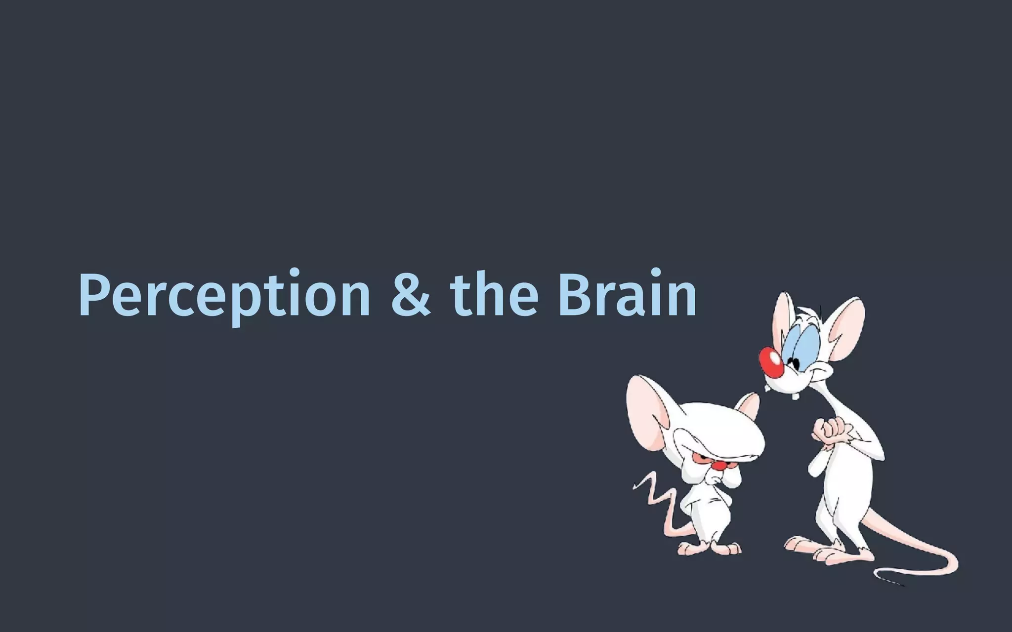 Perception & the Brain
 
