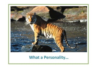 What a Personality…
 
