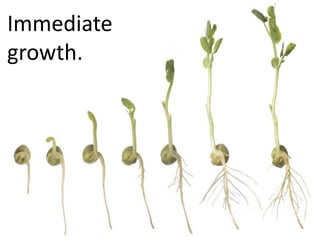 Immediate
growth.
 