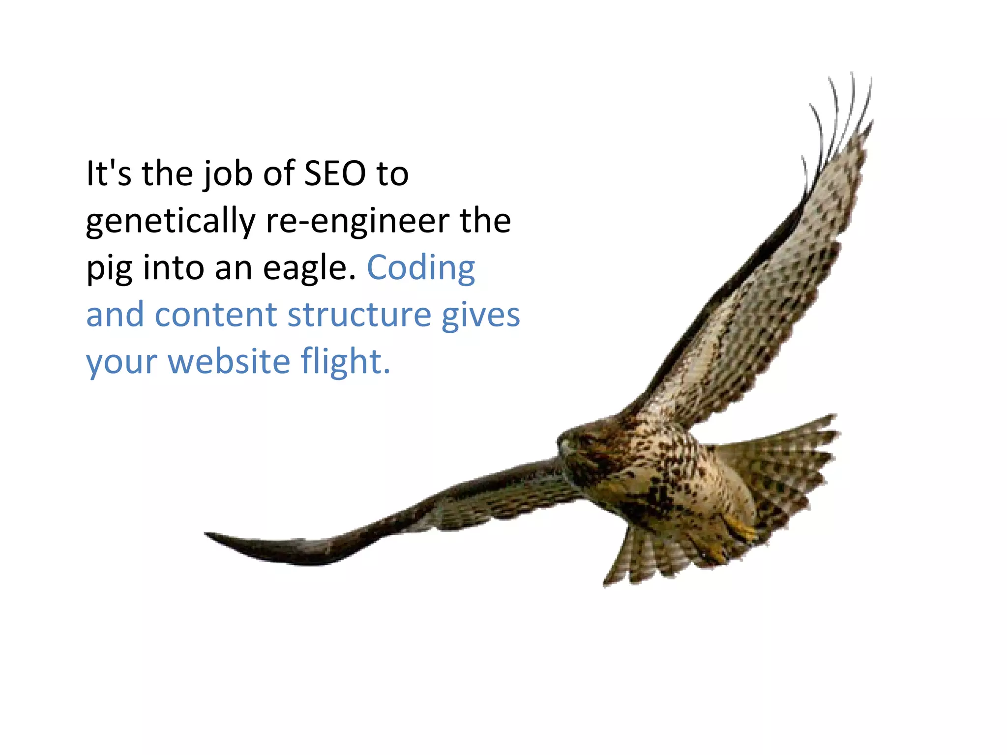 It's the job of SEO to genetically re-engineer the pig into an eagle.  Coding and content structure gives your website flight.  