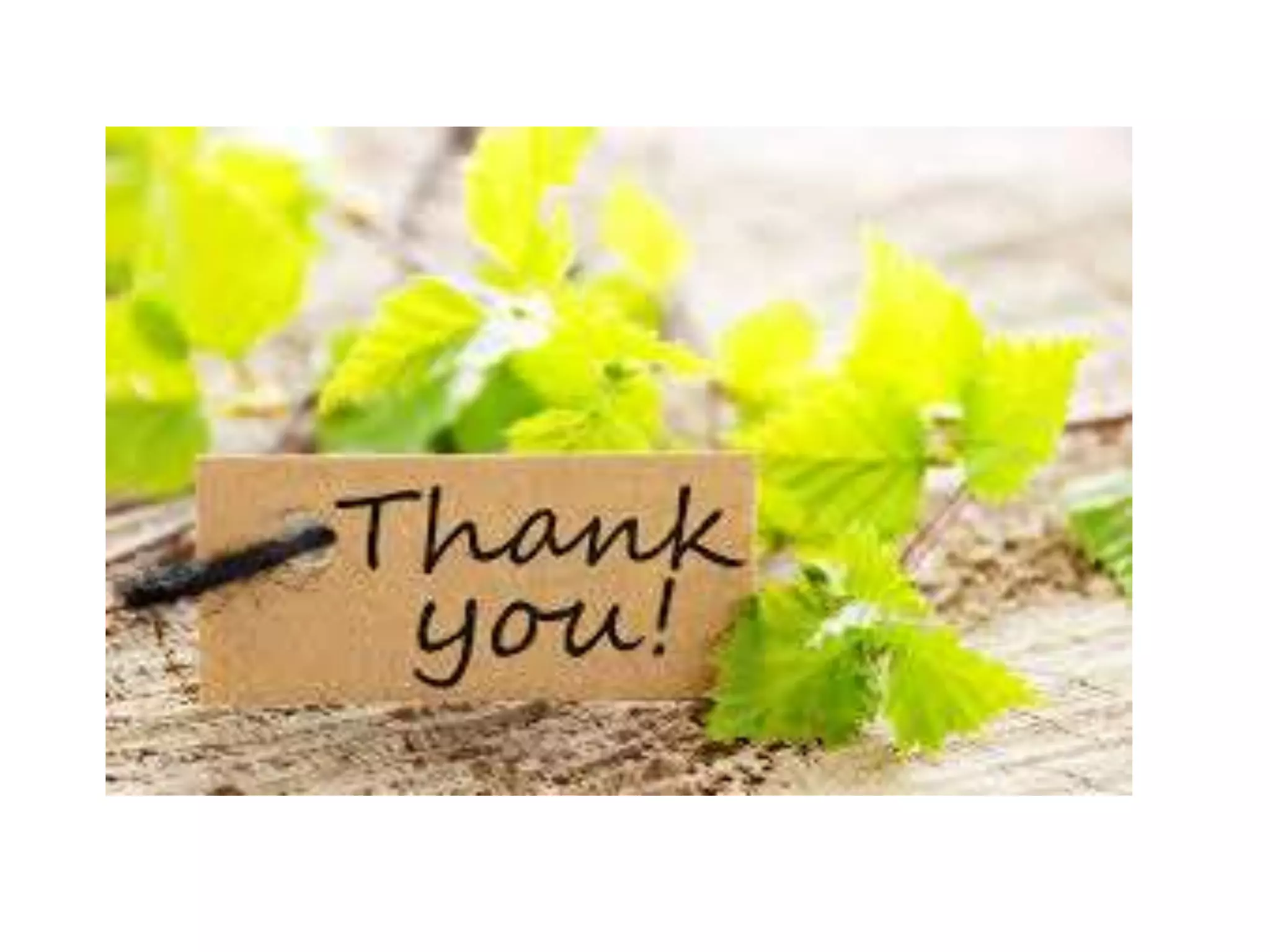 Web programming and services