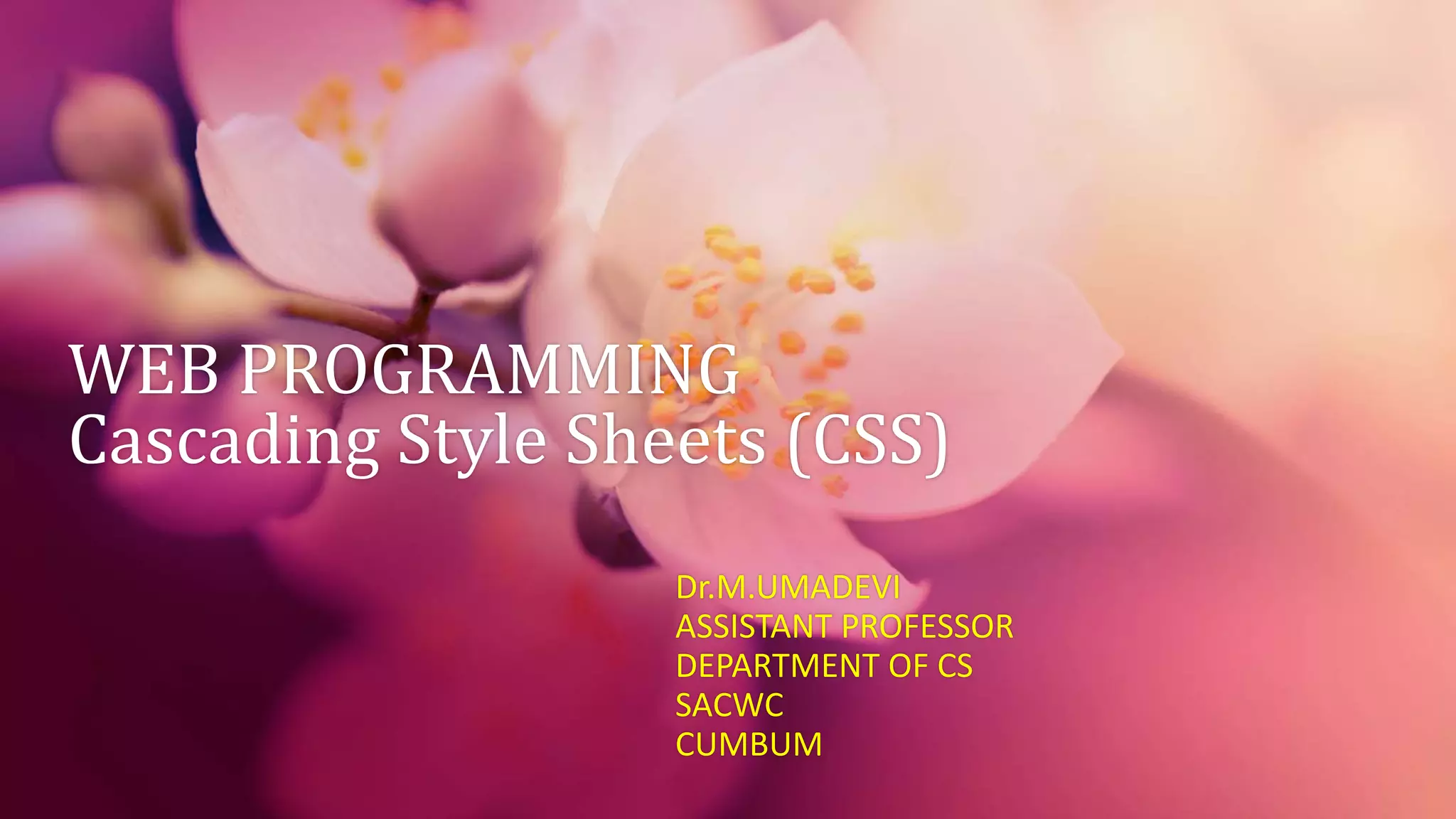 Web programming css | PPT