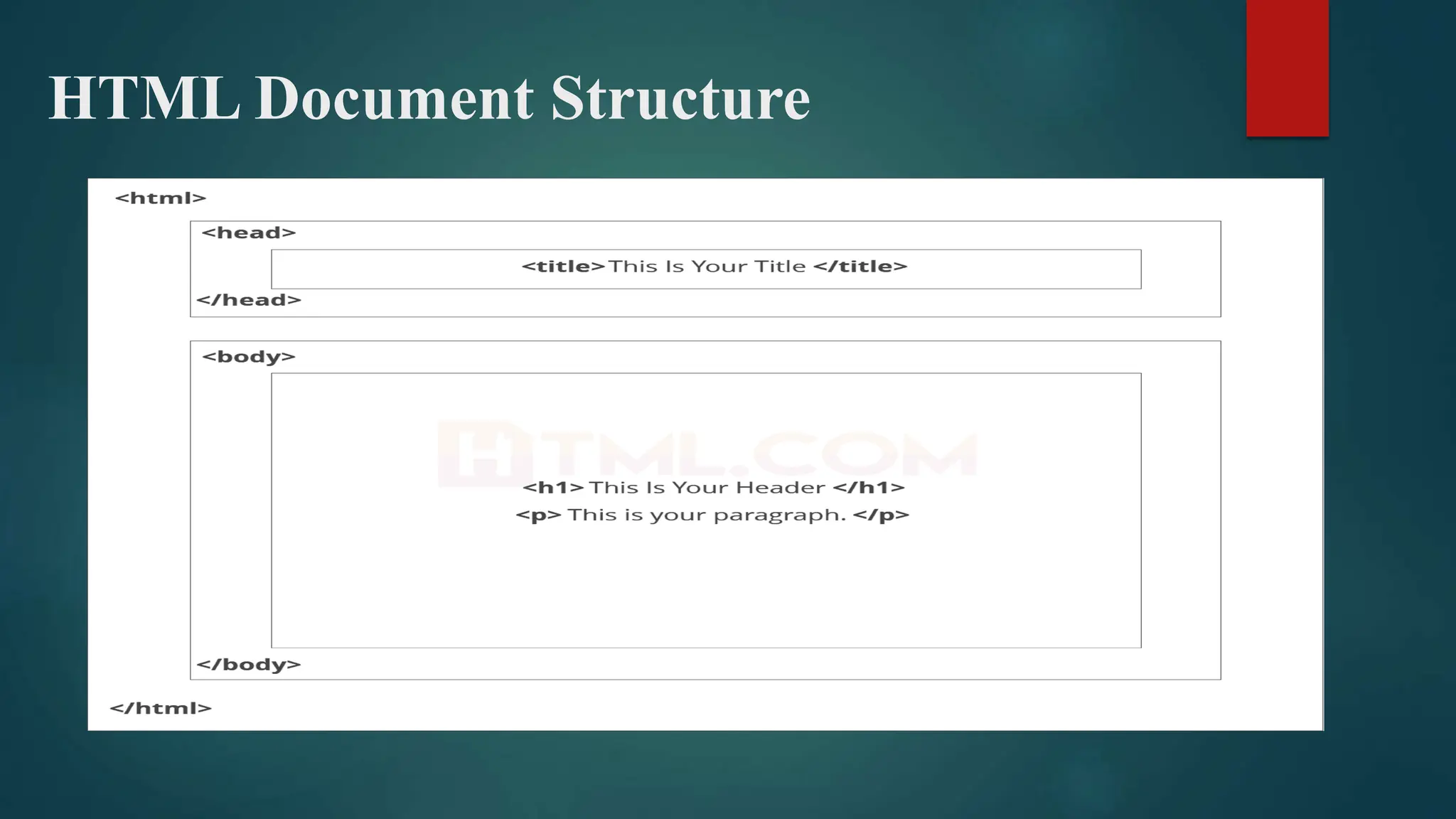 HTML Document Structure
 