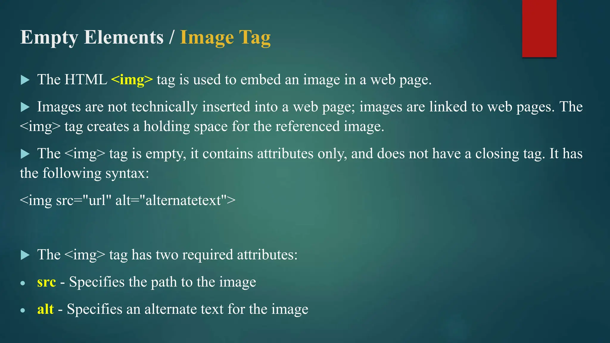 Web Programming HTML.pptx