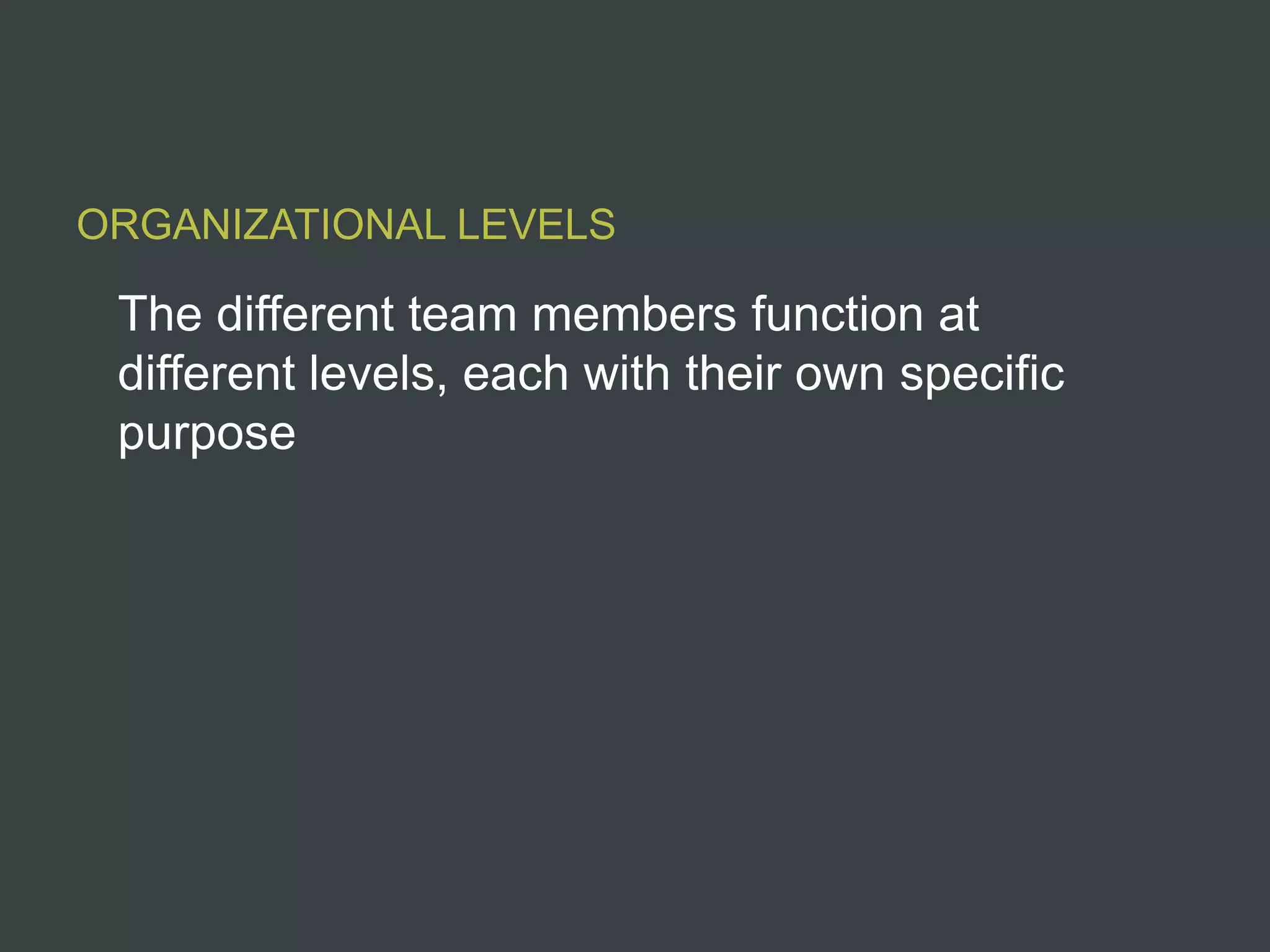 ORGANIZATIONAL LEVELS

 The different team members function at
 different levels, each with their own specific
 purpose
 