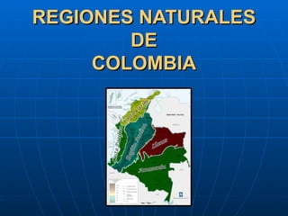 REGIONES NATURALES DE COLOMBIA 