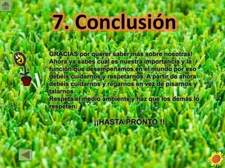 6. Guía DocenteObjetivos.Con este Webquest diseñado para alumnos de tercer ciclo de primaria, en concreto para 5º de primaria, se pretende trabajar globalizadamente contenidos sobre el Conocimiento del Medio, en concreto, las plantas. Algunos de los objetivos son:Valorar las plantas como seres vivos así como diferenciar  los tipos de plantas que existen.