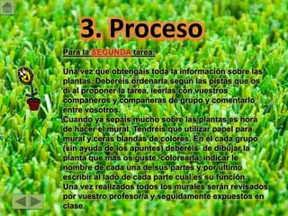 ¿Cuáles son las partes de la planta?
