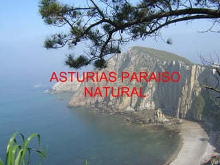ASTURIAS PARAISO NATURAL 