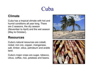Cuba Climate Cuba has a tropical climate with hot and humid conditions all year long. There are 2 seasons, the dry season (November to April) and the wet season (May to October). Resources Cuba’s natural resources are cobalt, nickel, iron ore, copper, manganese, salt, timber, silica, petroleum and arable land. Cuba’s major crops are sugar, tobacco, citrus, coffee, rice, potatoes and beans.  