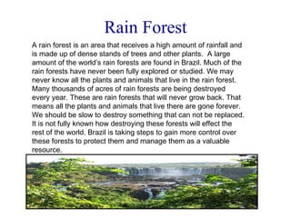 Rain Forest A rain forest is an area that receives a high amount of rainfall and is made up of dense stands of trees and other plants.  A large amount of the world’s rain forests are found in Brazil. Much of the rain forests have never been fully explored or studied. We may never know all the plants and animals that live in the rain forest. Many thousands of acres of rain forests are being destroyed every year. These are rain forests that will never grow back. That means all the plants and animals that live there are gone forever. We should be slow to destroy something that can not be replaced. It is not fully known how destroying these forests will effect the rest of the world. Brazil is taking steps to gain more control over these forests to protect them and manage them as a valuable resource. 