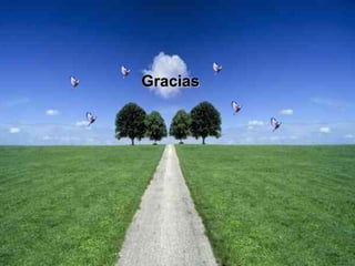 Gracias 
