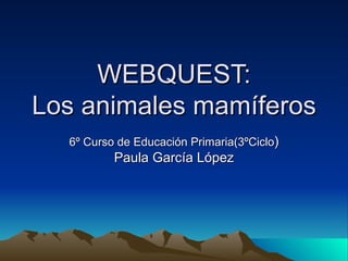 WEBQUEST:
Los animales mamíferos
  6º Curso de Educación Primaria(3ºCiclo)
          Paula García López
 