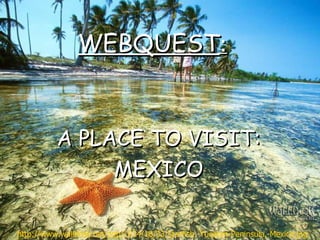 WEBQUEST:


          A PLACE TO VISIT:
               MEXICO

http://www.walldesk.net/pdp/1024/18/33/Starfish,-Yucatan-Peninsula,-Mexico.jpg
 