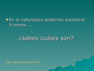  En la naturaleza podemos encontrar
  5 reinos…..


          ¿sabes cuáles son?


http://elpetalo.blogspot.com/
 