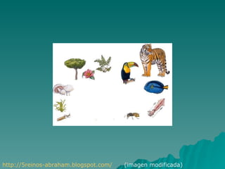 http://5reinos-abraham.blogspot.com/   (imagen modificada)
 