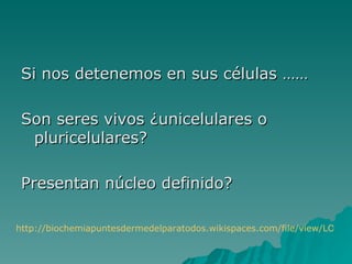 Si nos detenemos en sus células ……

 Son seres vivos ¿unicelulares o
  pluricelulares?

 Presentan núcleo definido?

http://biochemiapuntesdermedelparatodos.wikispaces.com/file/view/LOS+H
 