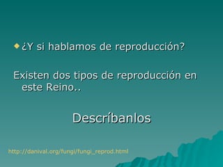  ¿Y    si hablamos de reproducción?

 Existen dos tipos de reproducción en
  este Reino..


                      Descríbanlos

http://danival.org/fungi/fungi_reprod.html
 