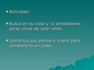  Actividad:



 Busca en tu casa y /o alrededores
 seres vivos de este reino.

 Identifica
           sus partes y tráelo para
 compartirlo en clase.
 