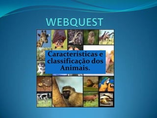 Características e
classificação dos
    Animais.
 