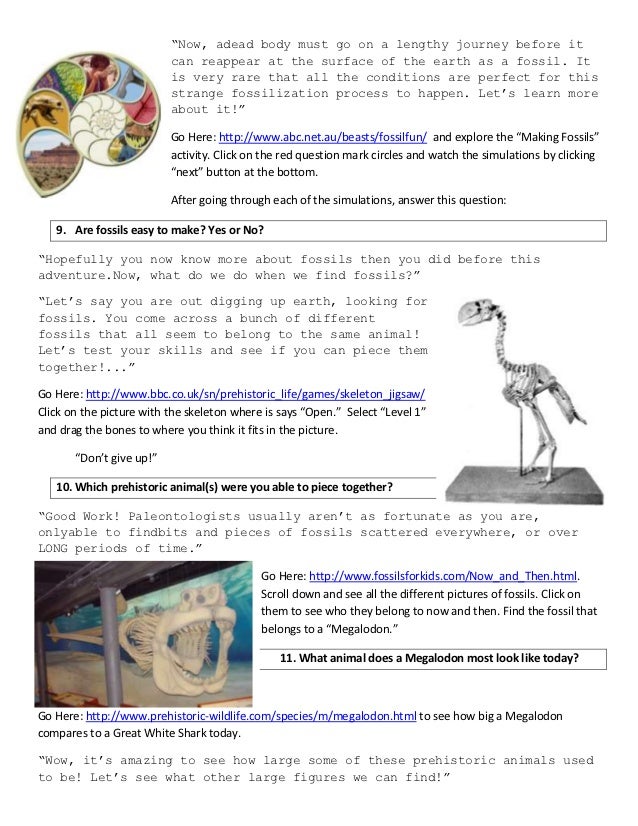  Qest on Fossils _ 4th Grade