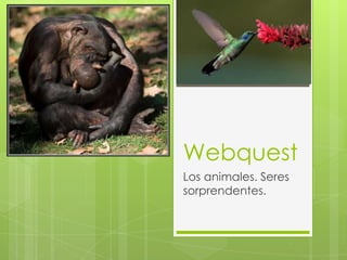 Webquest
Los animales. Seres
sorprendentes.
 
