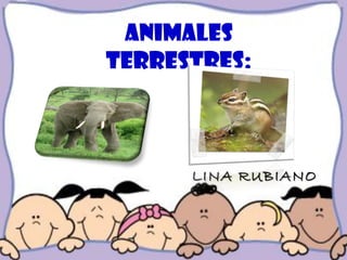 ANIMALES
TERRESTRES:
LINA RUBIANOLINA RUBIANO
 