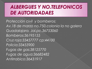 Protección civil y bomberos:
Av.18 de marzo no.750,colonia la no galera
Guadalajara. Jal.pc.36753060
Bomberos:36195155
Cruz roja:33457777 cp:44100
Policia:33455900
Fugas de gas:38125770
Fugas de agua:36682482
Antirrabico:36431917
 