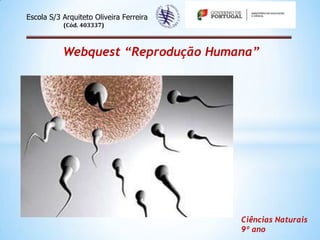 Escola S/3 Arquiteto Oliveira Ferreira
(Cód. 403337)

Webquest “Reprodução Humana”

Ciências Naturais
9º ano

 