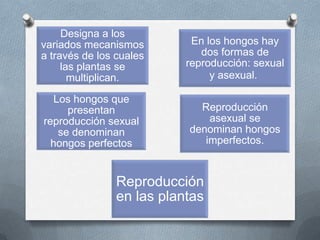 Designa a los
variados mecanismos
a través de los cuales
las plantas se
multiplican.
En los hongos hay
dos formas de
reproducción: sexual
y asexual.
Los hongos que
presentan
reproducción sexual
se denominan
hongos perfectos
Reproducción
asexual se
denominan hongos
imperfectos.
Reproducción
en las plantas